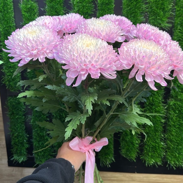 Лунный блик в Черноморском