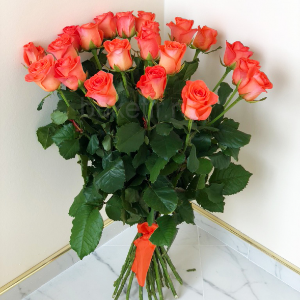 21 коралловая роза, лента в Черноморском