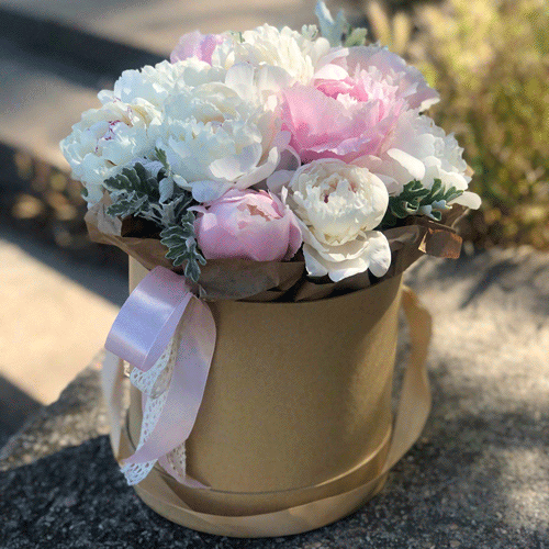 Пионы в шляпной коробке в Черноморском