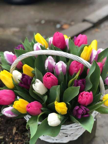 41 тюльпан микс в корзине в Черноморском