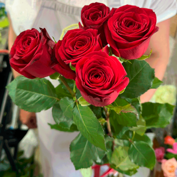 5 красных роз в Черноморском