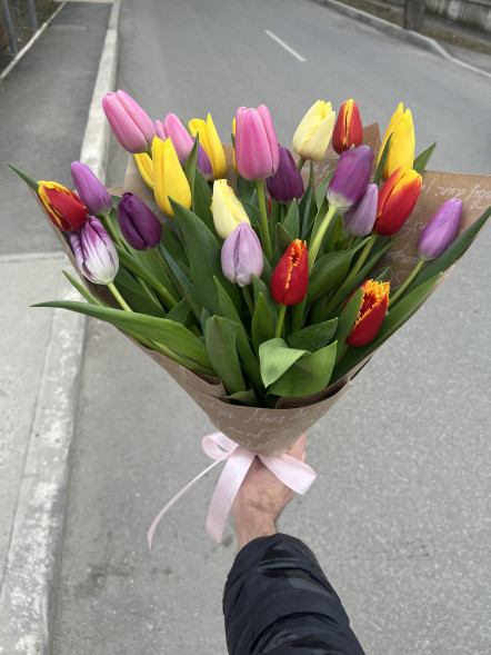 25 тюльпанов микс в упаковке в Черноморском