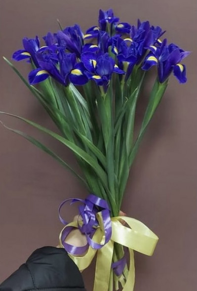 Букет 11 ирисов  в Черноморском