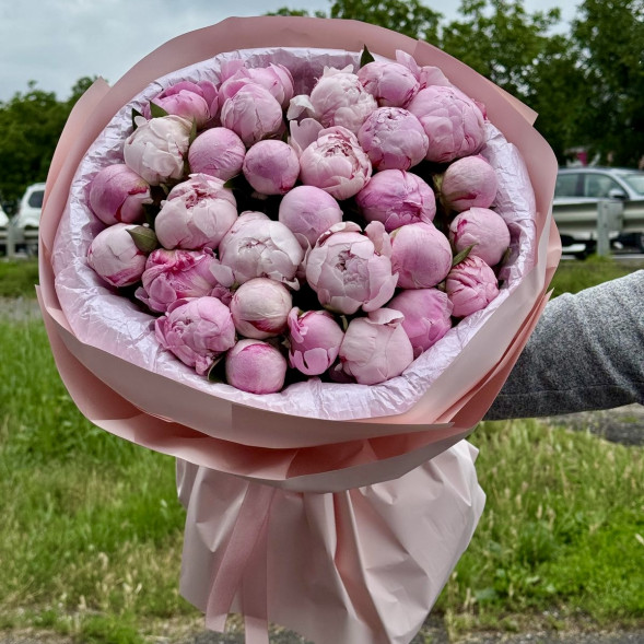 29 пионов &quot;Сара-Бернар&quot; в нежно-розовой упаковке в Черноморском