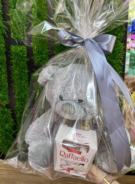 Плюшевый мишка и Raffaello в Черноморском